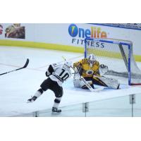 Manchester Monarchs RW Zeb Knutson takes a shot against the Norfolk Admirals