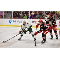 Grand Rapids Griffins defense keeps the Iowa Wild at bay