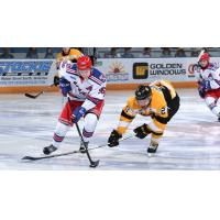 Kitchener Rangers centre Rickard Hugg handles the puck against the Kingston Frontenacs