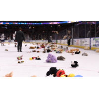 Greenville Swamp Rabbits' Teddy Bear Toss