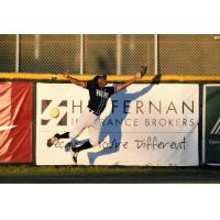 San Rafael Pacifics right fielder Javion Randle stretches to make a catch