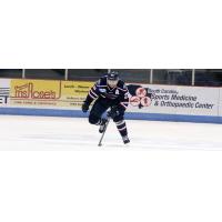 Andrew Cherniwchan of the South Carolina Stingrays