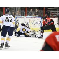 Norfolk Admirals goaltender Ty Reichenbach vs. the Cincinnati Cyclones