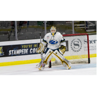 Sioux Falls Stampede goaltender Alec Calvaruso