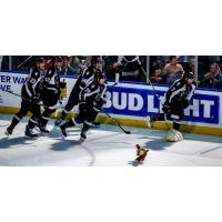 Utah Grizzlies round up the Teddy Bears