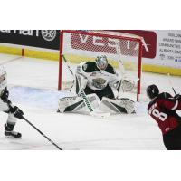 Vancouver Giants centre Tristen Nielsen takes a shot against Everett Silvertips goaltender Dustin Wolf