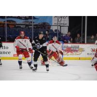 Allen Americans goaltender Jeremy Brodeur vs. the Manchester Monarchs