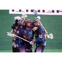 Georgia Swarm celebrate a goal against the New England Black Wolves
