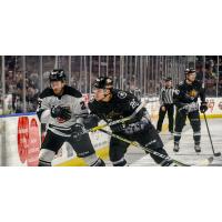 Utah Grizzlies defenseman Gage Ausmus (right) prepares to deliver a hit