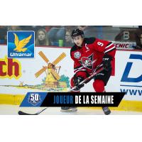 Drummondville Voltigeurs center Nicolas Guay