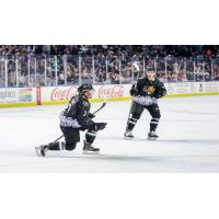 JT Henke of the Utah Grizzlies celebrates a goal