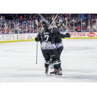 JT Henke and the Utah Grizzlies celebrate a goal