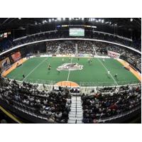 A New England Black Wolves game