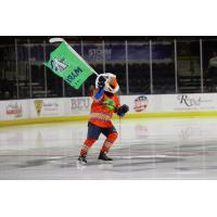 Maine Mariners mascot Beacon the Puffin