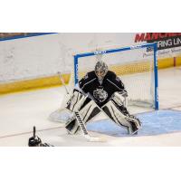 Goaltender Charles Williams with the Manchester Monarchs