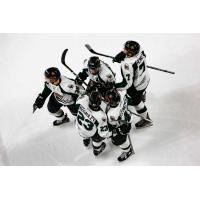 Utah Grizzlies huddle up
