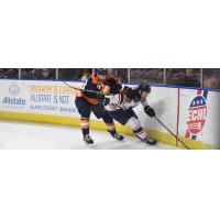 South Carolina Stingrays up against the boards