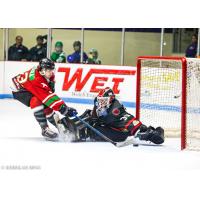 Corpus Christi IceRays goaltender Sam Best