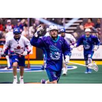 Rochester Knighthawks forward Austin Shanks