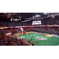 Mohegan Sun Arena in Uncasville, Connecticut, home of the New England Black Wolves