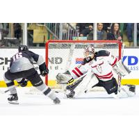 Davis Koch of the Vancouver Giants beats the Red Deer Rebels for a goal