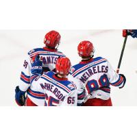 Kitchener Rangers in action