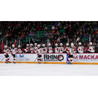 Binghamton Devils celebrate a goal with the bench