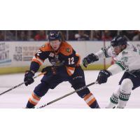 Greenville Swamp Rabbits forward Johno May against the Florida Everblades