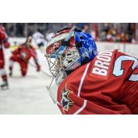 Goaltender Jeremy Brodeur with the Allen Americans