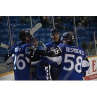 Saint John Sea Dogs celebrate a goal