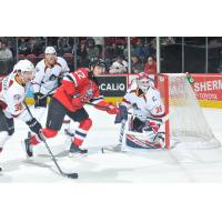 Cleveland Monsters goaltender Jean-Francois Berube vs. the Binghamton Devils