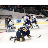 Ben Duffy of the Norfolk Admirals vs. the Orlando Solar Bears