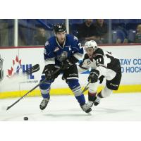 Vancouver Giants defenceman Seth Bafaro vs. the Victoria Royals