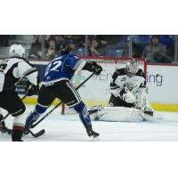 Vancouver Giants goaltender David Tendeck faces the Victoria Royals