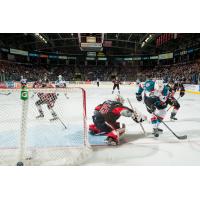 Kelowna Rockets vs. the Moose Jaw Warriors