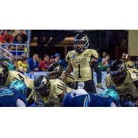 Quarterback Patrick Ryan with the Lehigh Valley Steelhawks
