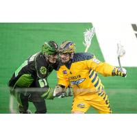 Randy Staats of the Georgia Swarm pushes against the Saskatchewan Rush