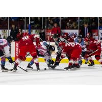 Allen Americans vs. the Idaho Steelheads