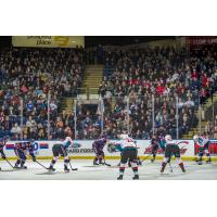 A big crowd watches the Kelowna Rockets vs. the Kamloops Blazers at Prospera Place