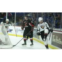 Dylan Plouffe of the Vancovuer Giants celebrates a goal vs. the Prince George Cougars