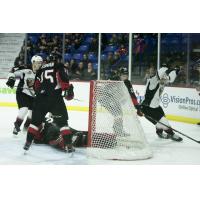 Milos Roman and the Vancouver Giants celebrate a goal against the Prince George Cougars