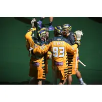 Georgia Swarm celebrate a goal