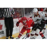 Cleveland Monsters battle the Charlotte Checkers