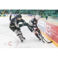 Vancouver Giants defenseman Nicholas Draffin (left) vs. Prince George Cougars right wing Reid Perepeluk