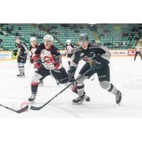 Vancouver Giants defenseman Kaleb Bulych vs. the Prince George Cougars