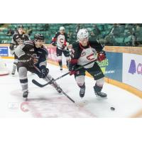 Vancouver Giants right wing Davis Koch (left) vs. the Prince George Cougars