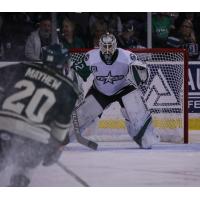 Texas Stars goaltender Colton Point