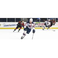 South Carolina Stingrays forward Tim Harrison skates against the Atlanta Gladiators