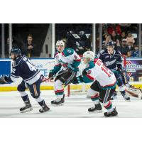 Kelowna Rockets vs. the Kamloops Blazers