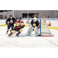 Norfolk Admirals goaltender Jeremy Brodeur against the Atlanta Gladiators